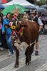 k1600_dsc_0033